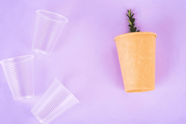plastic vs paper cups