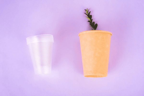 is paper cup better