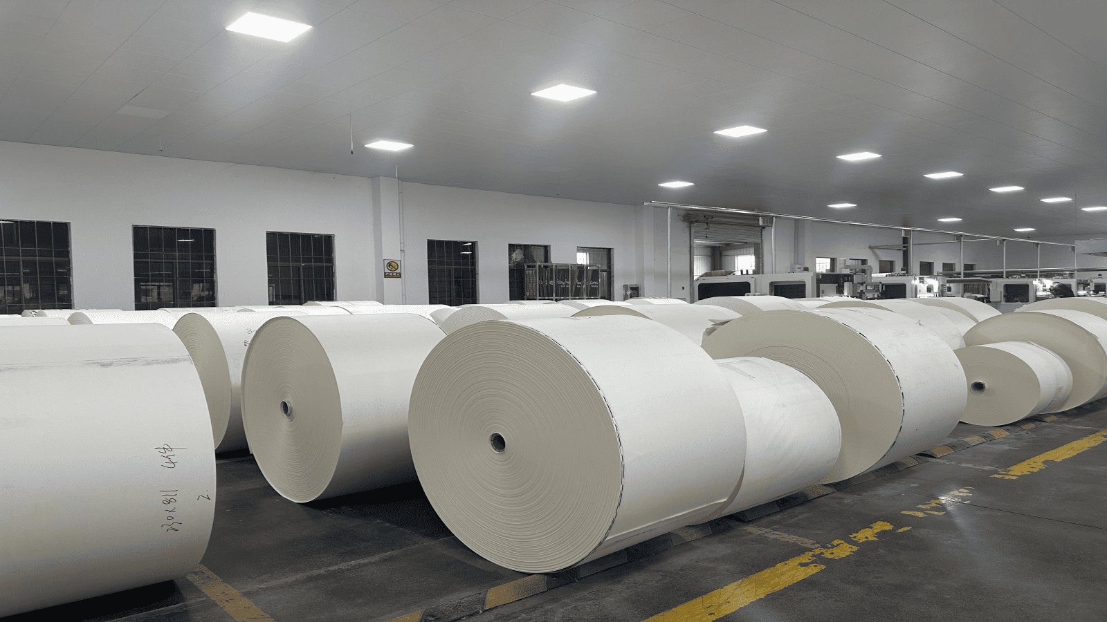 paper products industry trend