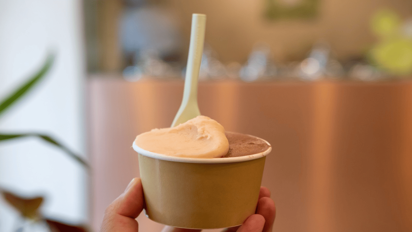 ice cream cup material