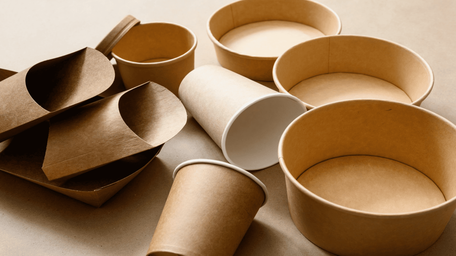 most common paper cup type