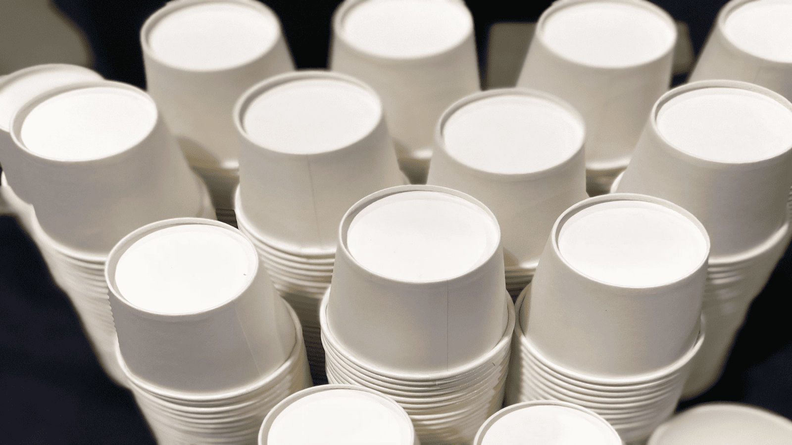 eco-friendly alternatives to paper cups