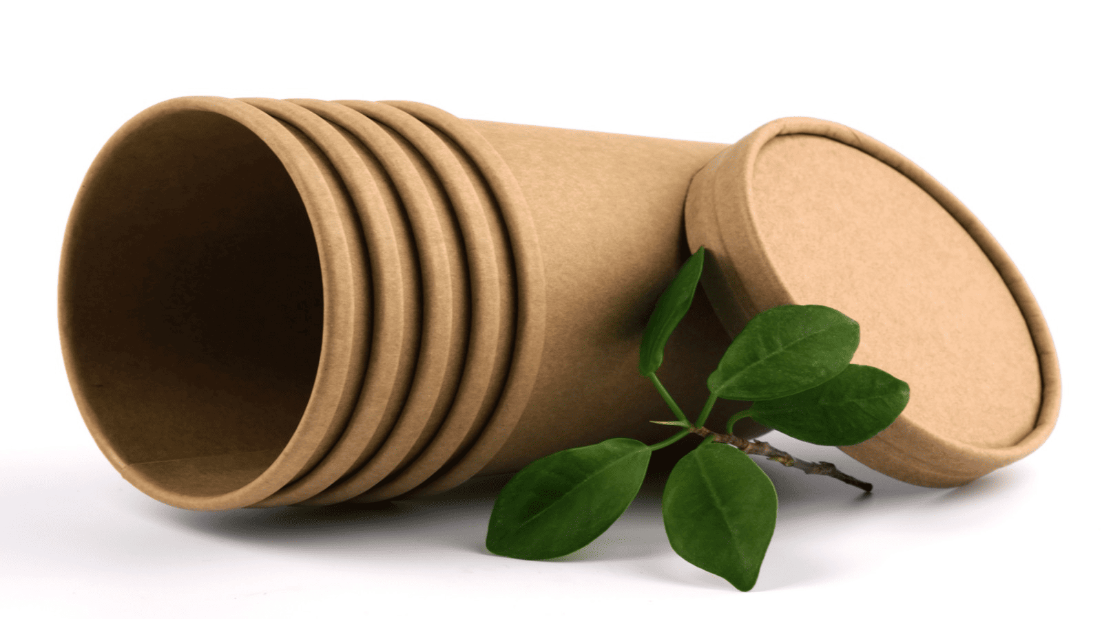 eco friendly soup paper bowls