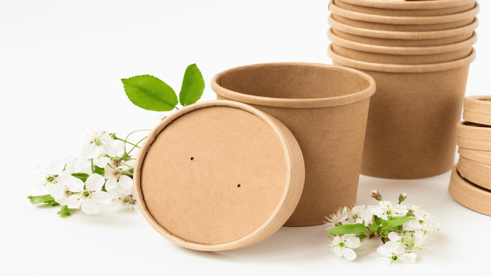 buy soup paper cups