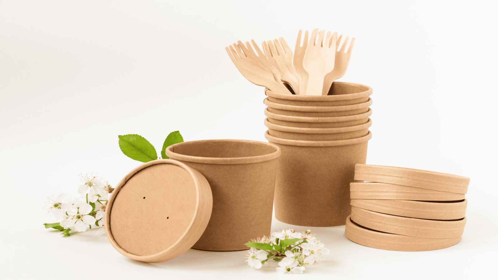 dispose soup paper cups