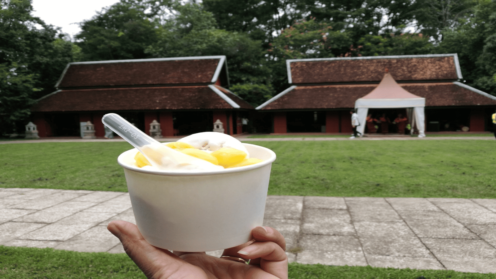 ice cream in cardboard box