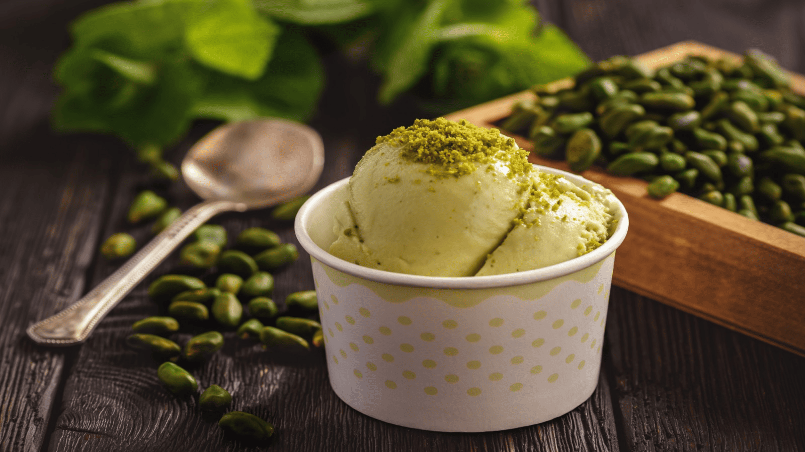 reusable ice cream cups