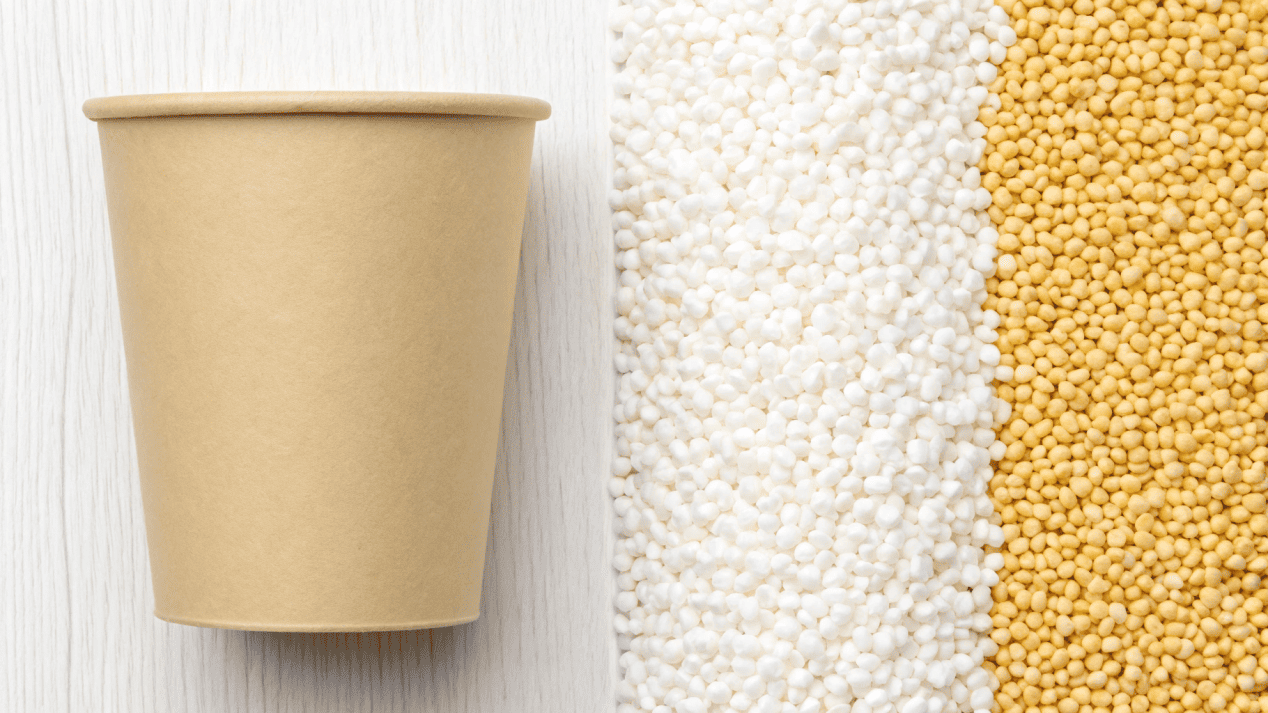 Raw materials for bio paper cups, showing sustainably sourced wood pulp and corn-based PLA pellets