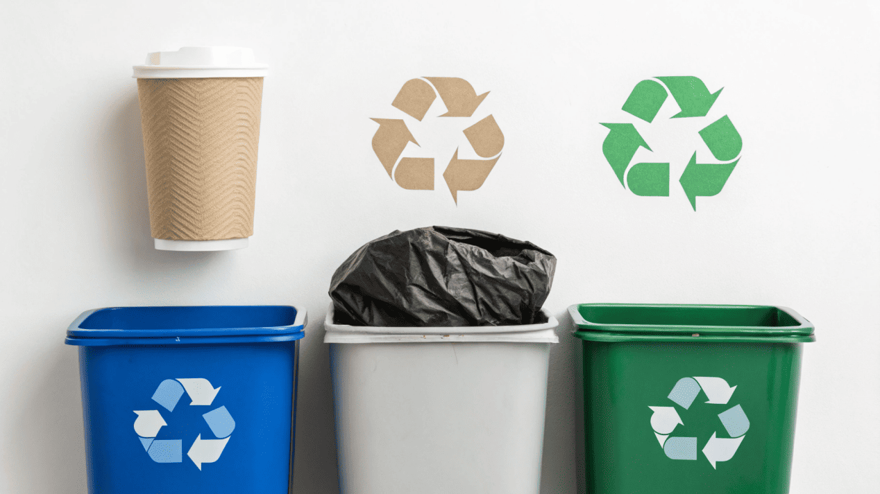 An image showing the correct bin for each cup type: recycling, industrial compost, and landfill.