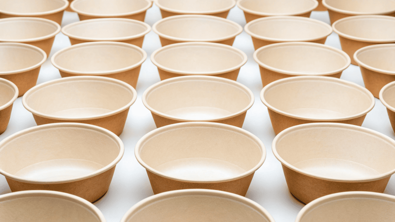 A display of high-quality wholesale compostable paper bowls with custom branding