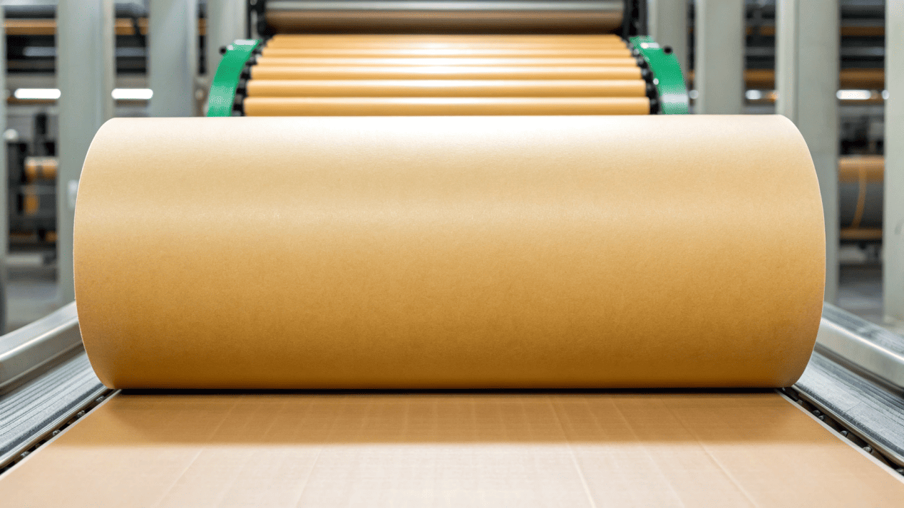 The Start of the Paper Bowl Production Process A large roll of paperboard being fed into a manufacturing machine.