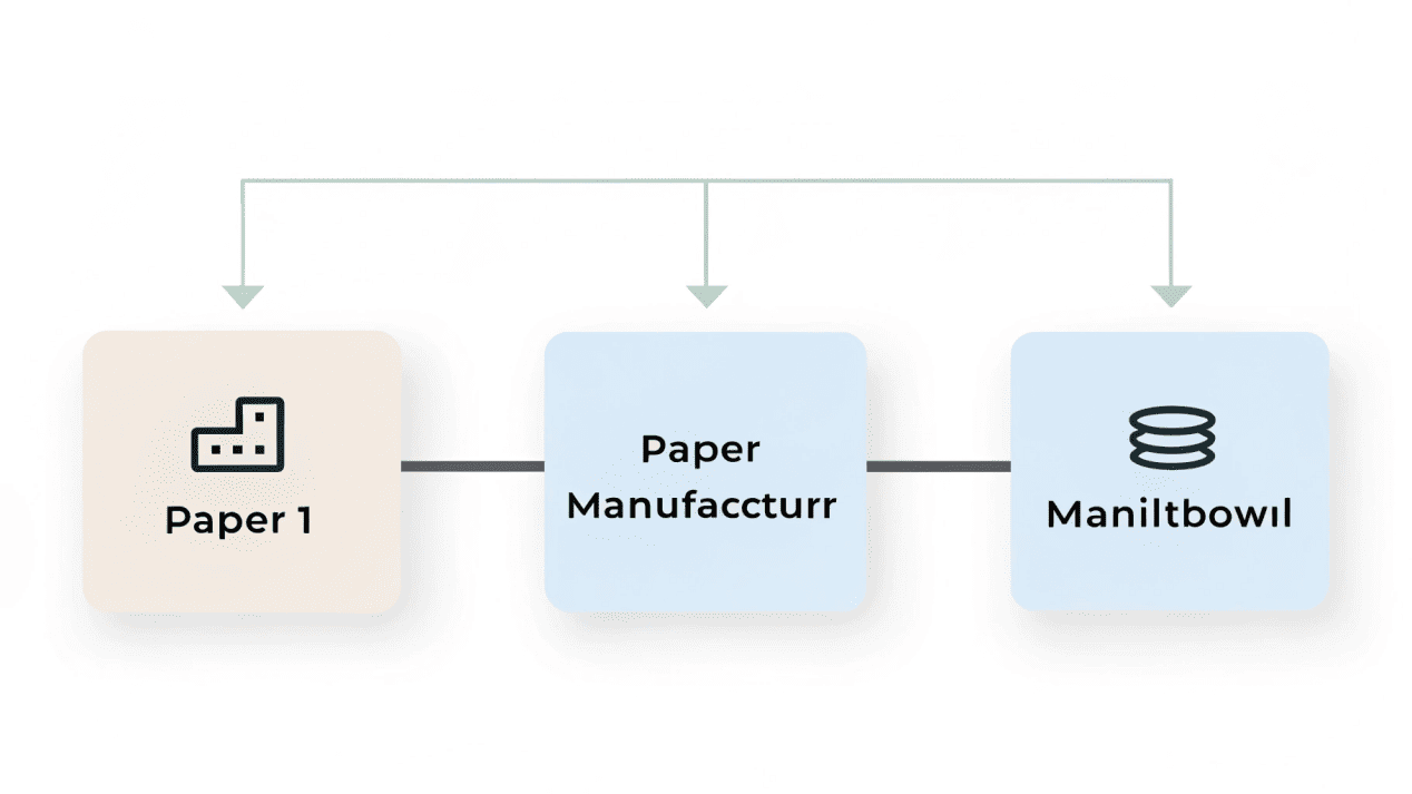 A simple flowchart: Paper Mill -> Specialized Converter -> Bowl Manufacturer.