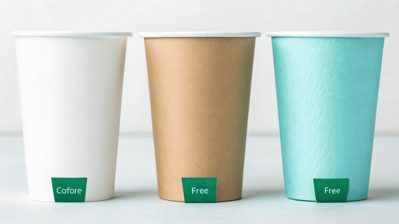 Types of Paper Cup Coatings A side-by-side comparison of three paper cups labeled PE, PLA, and Water-Based Coating.