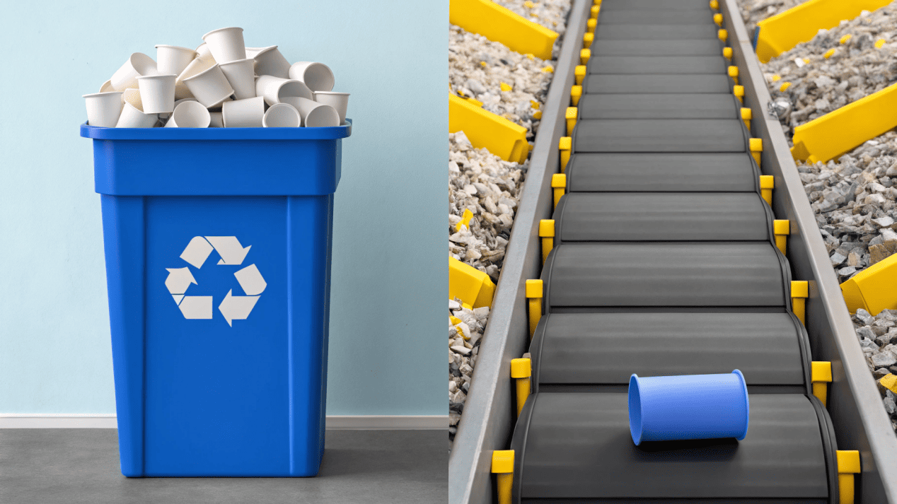 End-of-Life and Recycling Challenges of PE Coated Paper An image showing paper cups being sorted out of a regular paper recycling stream and sent to a landfill.