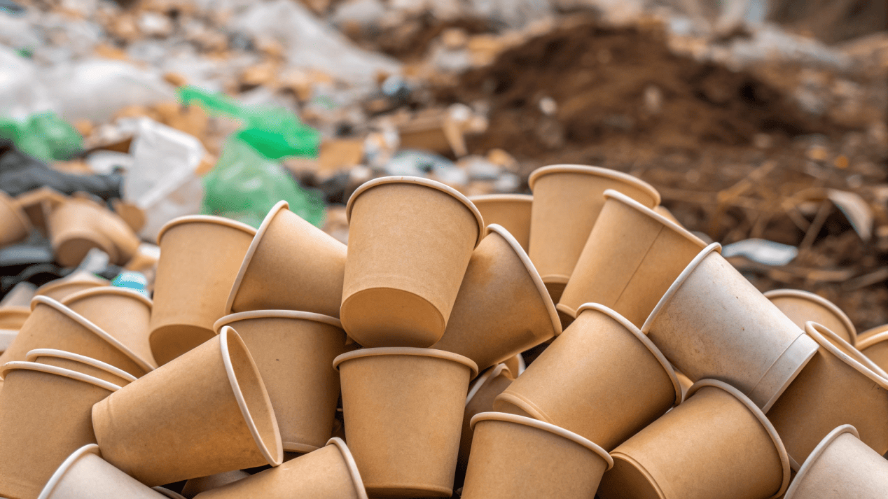 Paper Coffee Cups in Landfill A pile of used paper coffee cups in a landfill.