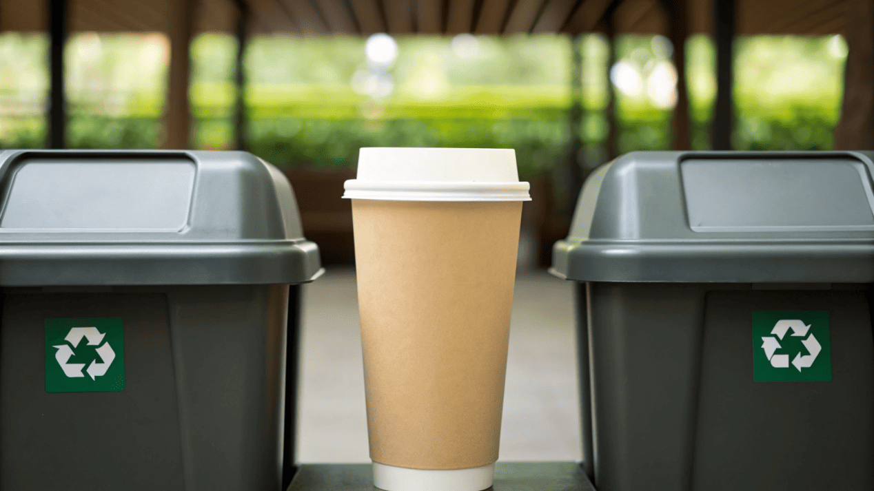 A paper coffee cup standing between a recycling bin and a compost bin, showing the confusion.