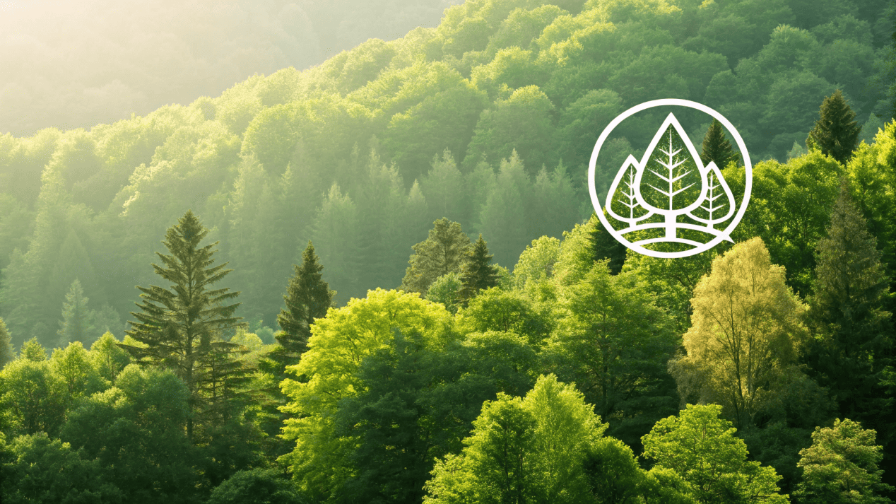 Logos for FSC and PLA/Compostable, superimposed over an image of a green forest.
