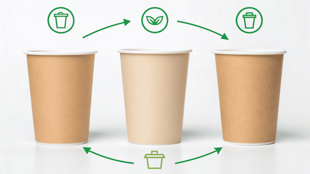 An infographic tracing a paper cup's journey from a responsibly managed forest to a recycling facility.