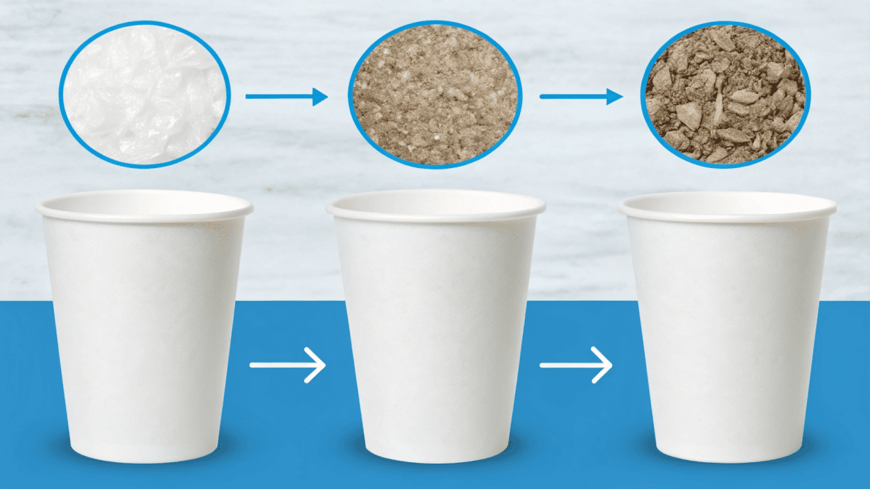A sustainably managed forest with neat rows of trees for paper production.